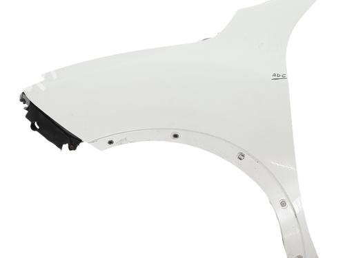Guarda-lamas esquerdo Guarda-lamas esquerdo NISSAN JUKE (F15) 1.5 dCi (110 hp) 36211323 36211323