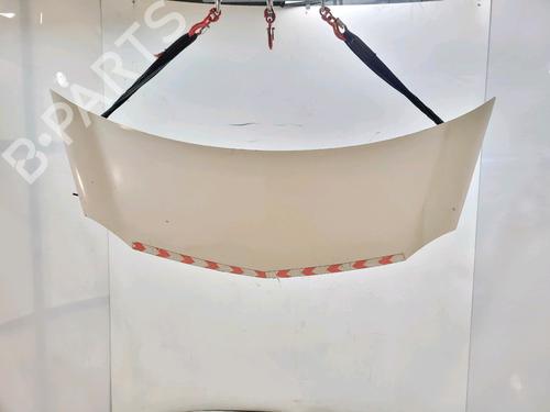 Used Hood RENAULT KANGOO Express (FW0/1_) [2008-2025]  24461955