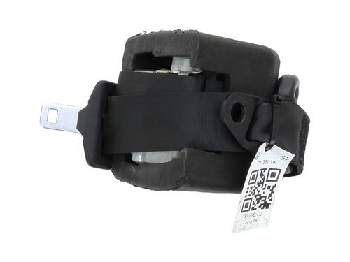 Used Rear left belt tensioner FIAT BRAVO II (198_) 1.6 D Multijet (198AXH1B) (105 hp) 29393466