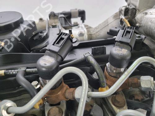 Engine RENAULT MEGANE II (BM0/1_, CM0/1_) 1.5 dCi (BM1E, CM1E) | BP29819676M1 