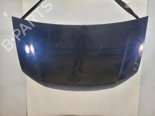 hood-dacia-sandero-ii-2012-33280790 main image