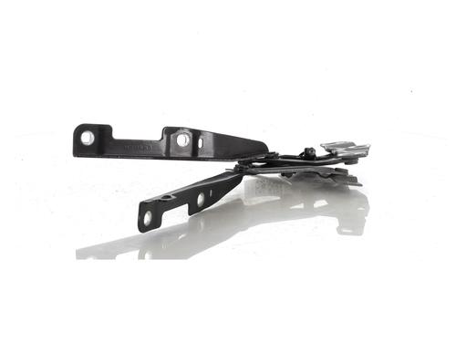 Hinge/Door check strap OPEL ADAM (M13) 1.2 | BP27901804C146 