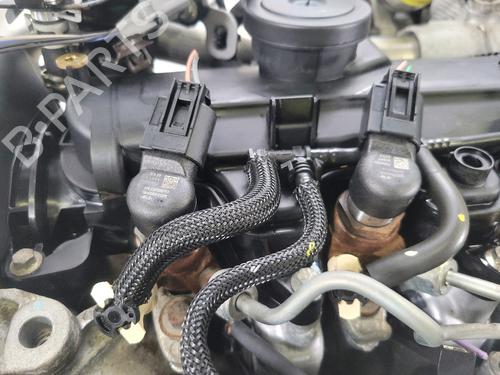 Engine RENAULT KANGOO Express (FW0/1_)  | BP28616139M1