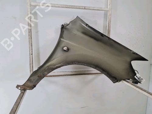 Left front fenders HYUNDAI GETZ (TB) 1.1 | BP18669065C41 
