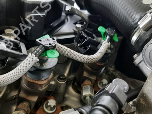 Engine FORD FIESTA VI (CB1, CCN) 1.4 TDCi | BP31875819M1