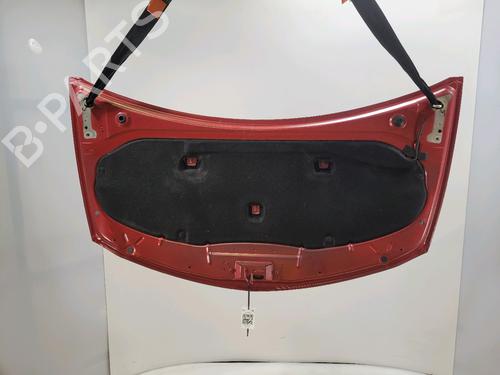 Hood RENAULT CLIO III (BR0/1, CR0/1)  | BP28447654C1