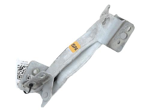 Used Hinge/Door check strap RENAULT KANGOO Express (FW0/1_) [2008-2025]  28506556