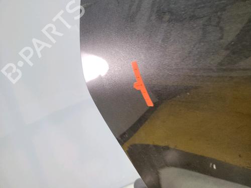 Left front door FORD PUMA (J2K, CF7) 1.0 EcoBoost mHEV | BP29218646C2 