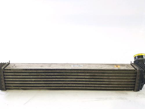 Used Intercooler RENAULT SCÉNIC III (JZ0/1_) 1.6 dCi (JZ00, JZ12) (130 hp) 29470948
