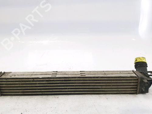 Ladeluftkühler für RENAULT SCÉNIC III (JZ0/1_) 1.5 dCi (110 hp) 29265288