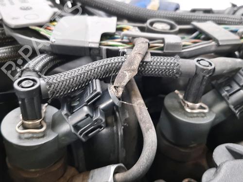 Engine FORD FUSION (JU_) 1.6 TDCi | BP31866323M1 