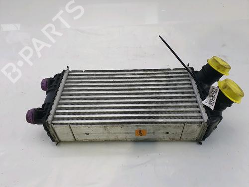 Used Intercooler PEUGEOT 2008 II (UD_, US_, UY_, UJ_, UR_, UC_) 1.2 PureTech 100 (USHNK) (101 hp) 25208675