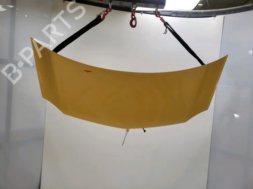 Panser Panser RENAULT KANGOO Express (FW0/1_) Z.E. (FW0Z, FW1Z) (60 hp) 36351478 36351478