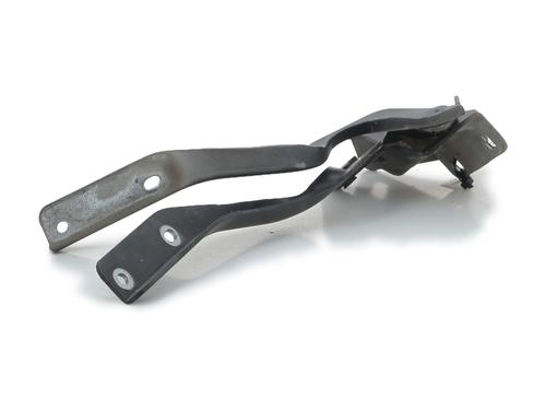 Hinge/Door check strap NISSAN QASHQAI I (J10, NJ10) 1.5 dCi | BP29111760C146 