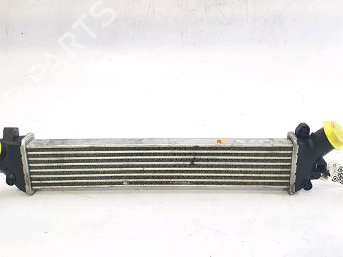 Used Intercooler RENAULT KANGOO Express (FC0/1_) 1.5 dCi (61 hp) 29761933