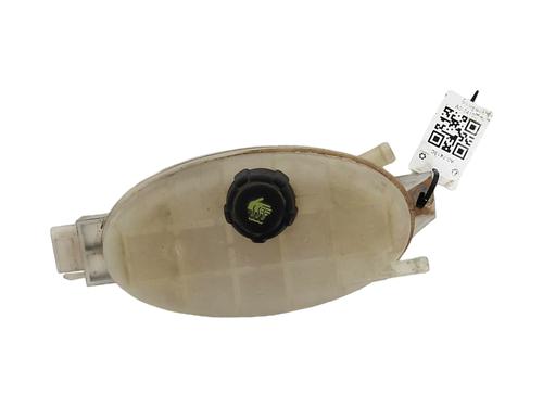 Expansion tank NISSAN PRIMASTAR Van (X83) 2.0 dCi 115 | BP20152569C120 