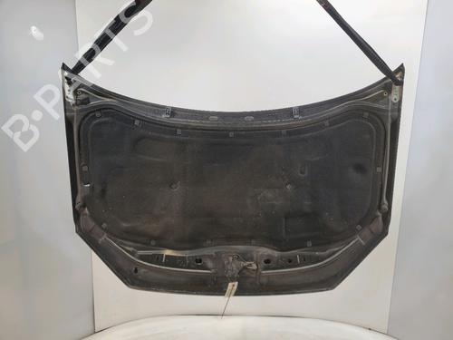 Hood VW POLO IV (9N_, 9A_) 1.4 TDI | BP29874621C1