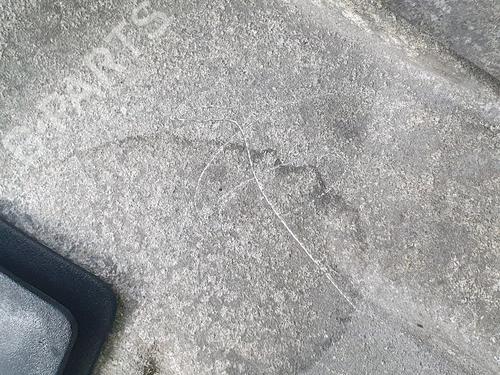 Gearbox FIAT 500 (312_) 1.2 (312AXA1A) | BP31913194M3 