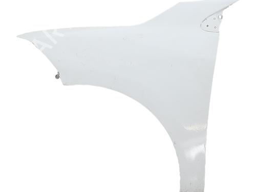Used Left front fenders RENAULT MEGANE III Hatchback (BZ0/1_, B3_) 1.5 dCi (BZ09, BZ0D, BZ1W, BZ29, BZ14) (110 hp) 30524490