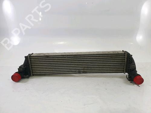 Intercooler RENAULT ESPACE IV (JK0/1_) 2.0 dCi (JK01, JK02, JK1J, JK1K, JK1H) | BP25452538M30 - Image 1