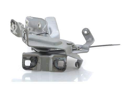 Hinge/Door check strap NISSAN PULSAR Hatchback (C13) 1.5 dCi | BP27904309C146 