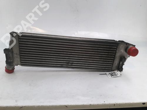 Used Intercooler Intercooler RENAULT MEGANE II (BM0/1_, CM0/1_) 1.9 dCi (131 hp) 10570042 10570042