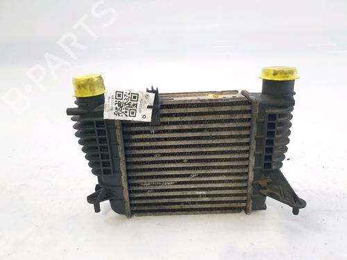 Intercooler RENAULT CLIO III (BR0/1, CR0/1) 1.5 dCi (BR0H, CR0H, CR1S, BR1S) (106 hp) 28971166