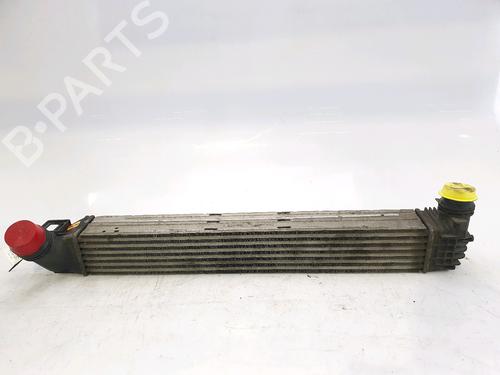 Intercooler RENAULT MEGANE III Hatchback (BZ0/1_, B3_) 1.5 dCi | BP28971737M30
