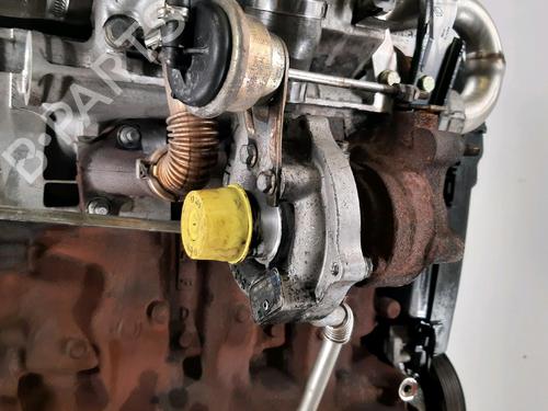 Engine RENAULT CLIO II (BB_, CB_) 1.5 dCi (B/CB07) | BP31635615M1 