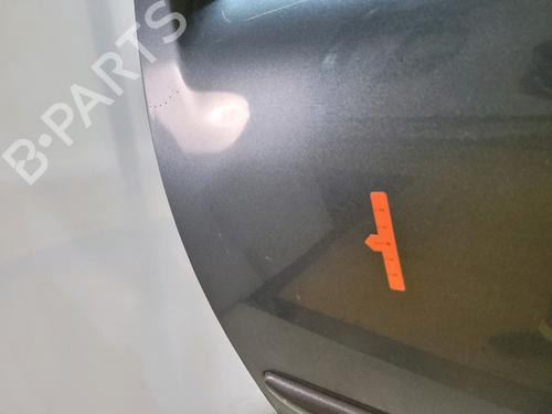 Left front door CITROËN C3 I (FC_, FN_) 1.1 i | BP27308646C2 