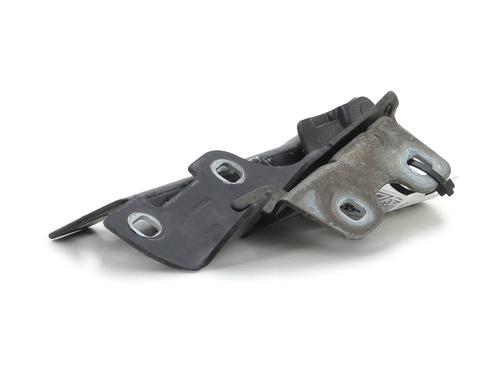 Hinge/Door check strap RENAULT CLIO II (BB_, CB_) 1.5 dCi (B/C2J) | BP27910971C146 