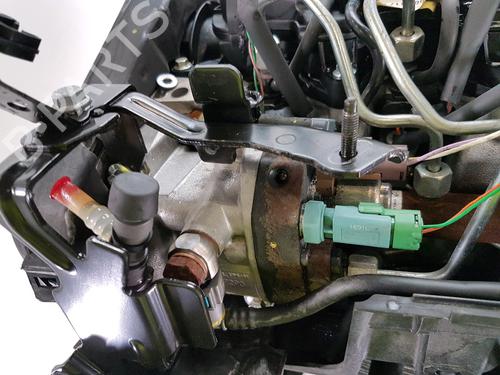 Motor RENAULT MODUS / GRAND MODUS (F/JP0_) 1.5 dCi 75 | BP30828191M1