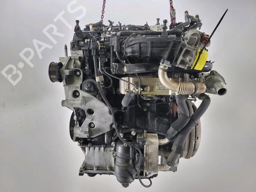 Engine KIA SPORTAGE III (SL) 2.0 CRDi | BP30049138M1 