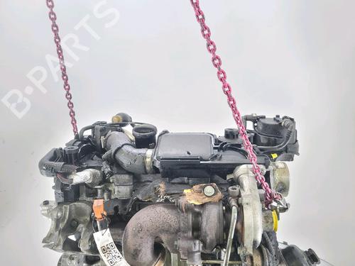 Engine PEUGEOT 206+ (2L_, 2M_) 1.4 HDi eco 70 | BP29988208M1
