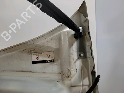 Hood CITROËN C3 II (SC_) 1.6 BlueHDi 75 | BP29624284C1 