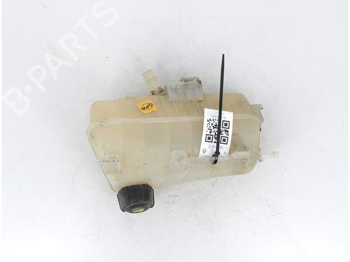 Expansion tank RENAULT KANGOO Express (FW0/1_) 1.5 dCi 70 (FW0A, KW0V) | BP15855402C120 