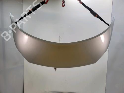 Used Hood RENAULT SCÉNIC II (JM0/1_) 2.0 dCi (JM1K) (150 hp) 27354032