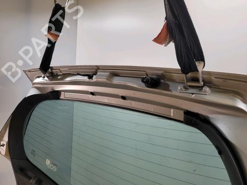 Tailgate RENAULT CLIO III (BR0/1, CR0/1) 1.5 dCi (BR17, CR17) | BP30957925C6