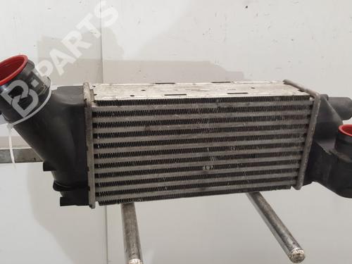 Used Intercooler Intercooler PEUGEOT 308 I (4A_, 4C_) 2.0 HDi (136 hp) 10909060 10909060