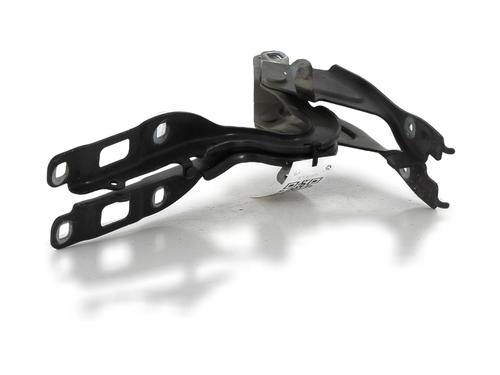 Hinge/Door check strap PEUGEOT 208 II (UB_, UP_, UW_, UJ_) 1.2 PureTech 130 | BP29495780C146 