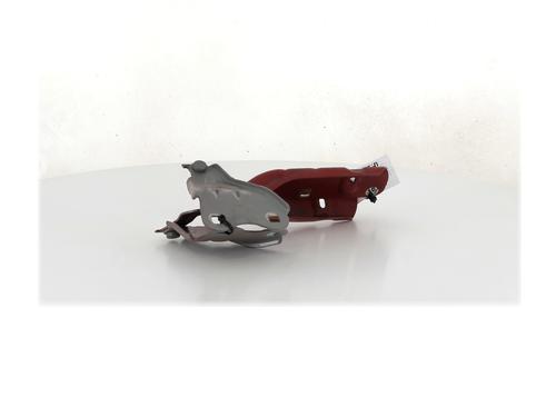 Hinge/Door check strap RENAULT TWINGO II (CN0_) 1.6 RS (CN0N, CN0R, CN0S) | BP28137851C146 