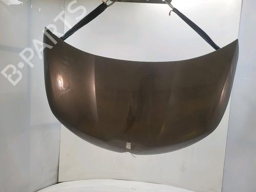 hood-citroen-ds4-nx_-2011-2012-2013-2014-2015-40068742 main image