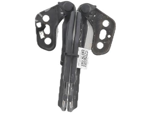 Used Hinge/Door check strap AUDI A6 C6 Avant (4F5) RS6 quattro (580 hp) 30982574