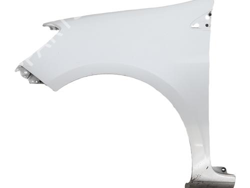 Parafango anteriore sinistro RENAULT CLIO III (BR0/1, CR0/1) 1.5 dCi (C/BR0G, C/BR1G) (68 hp) 31699734