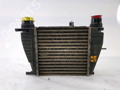 Intercooler RENAULT CLIO III (BR0/1, CR0/1) 1.5 dCi | BP26229257M30 