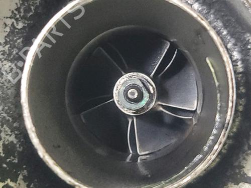 Engine RENAULT CLIO II (BB_, CB_) 1.5 dCi (B/CB07) | BP30190627M1 