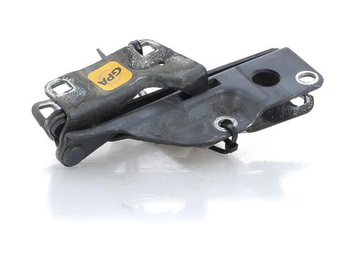 Hinge/Door check strap NISSAN PATHFINDER III (R51) 2.5 dCi 4WD | BP27902955C146 