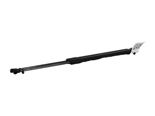 Tailgate lift support RENAULT GRAND SCÉNIC IV (R9_) 1.6 dCi 160 | BP29819667C138 