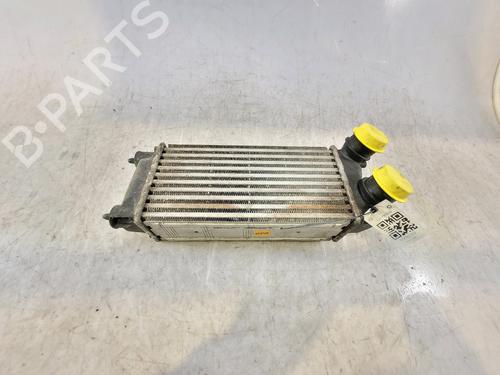 Intercooler CITROËN C4 II (NC_) 1.6 BlueHDi 120 (120 hp) 21374255