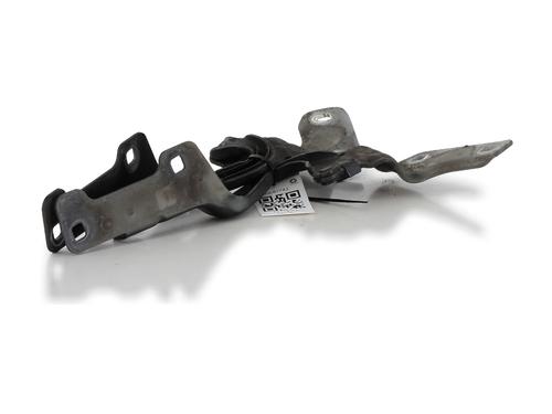 Hinge/Door check strap RENAULT CLIO III Grandtour (KR0/1_) 1.5 dCi (KR0G) | BP27914936C146 
